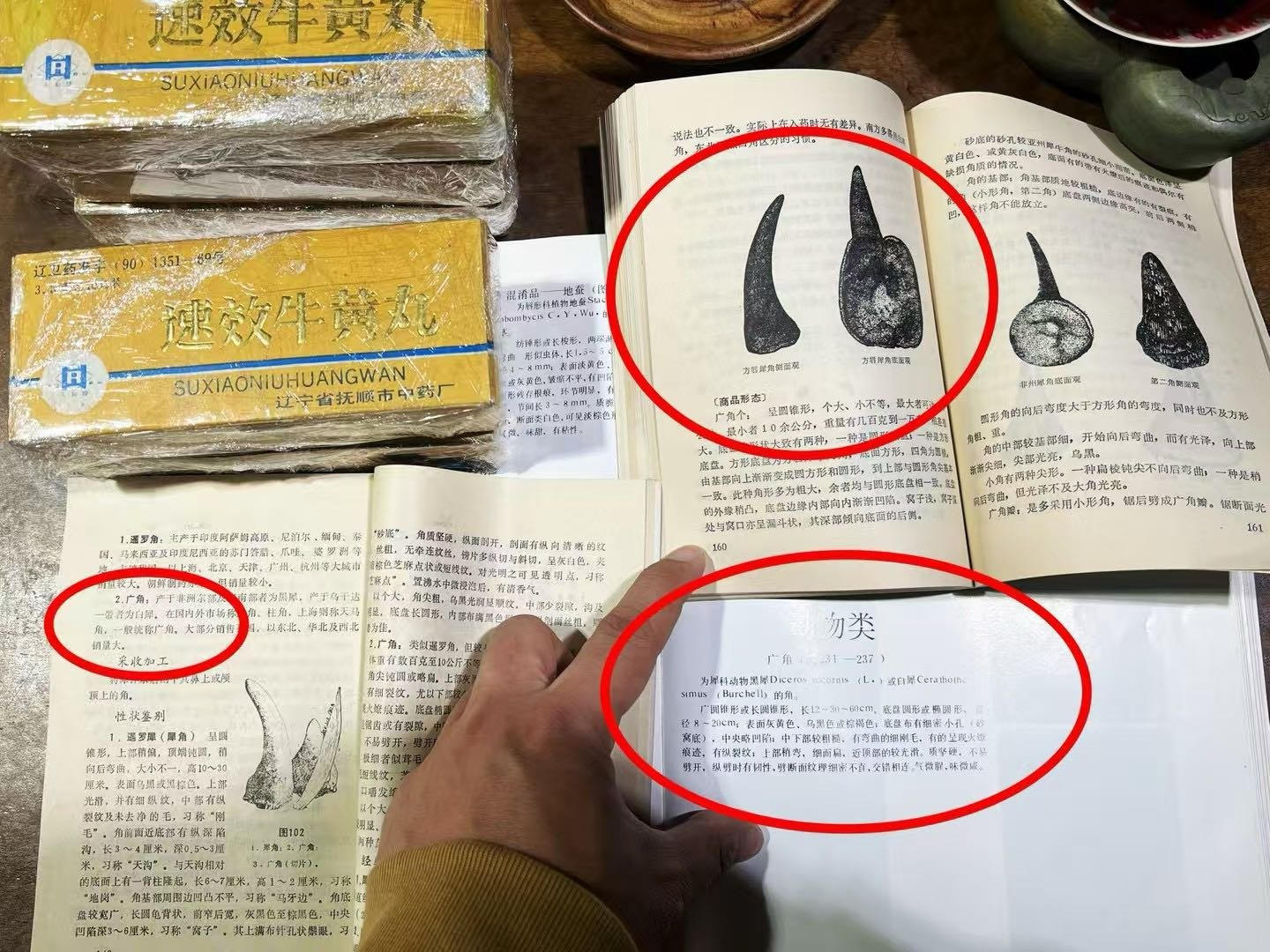 犀角鉴别书页