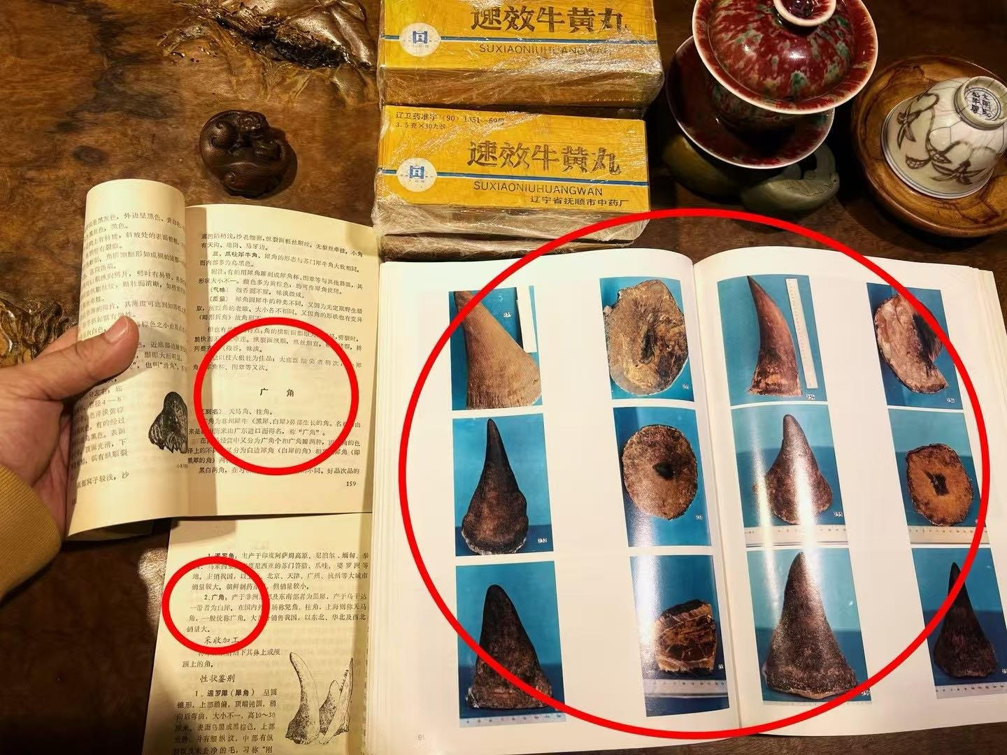 犀角广角对比