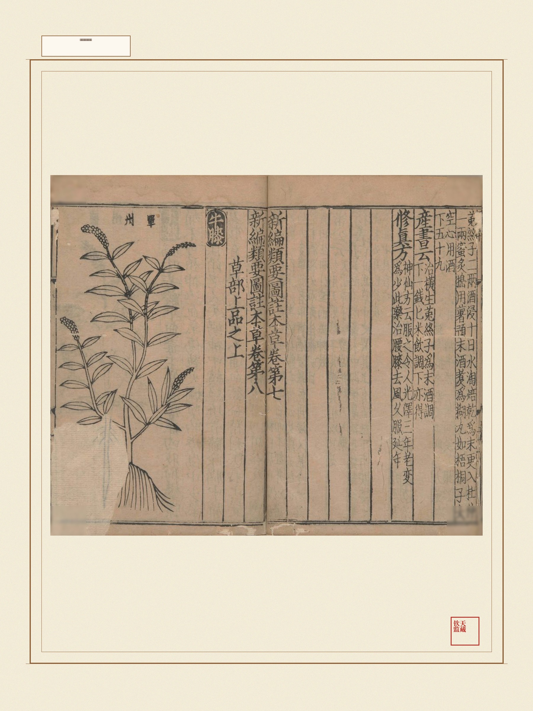 新编类要图注本草 第6页