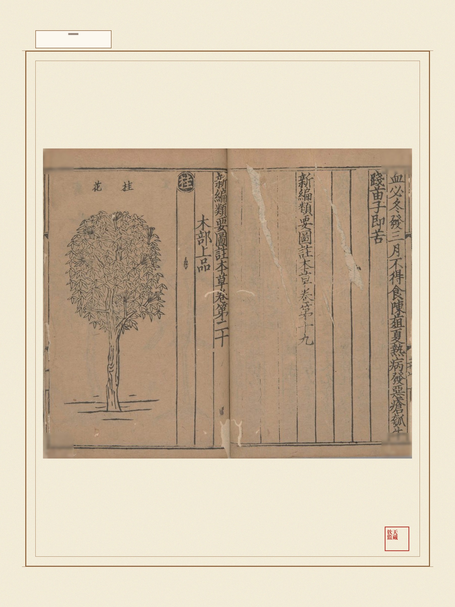 新编类要图注本草 第7页