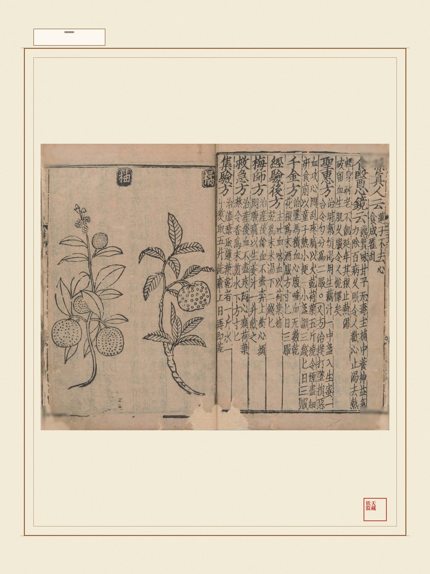 新编类要图注本草 第11页
