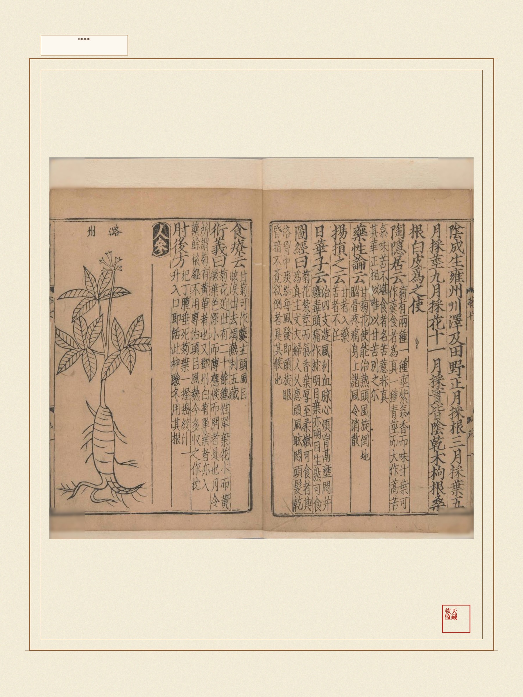 新编类要图注本草 第20页