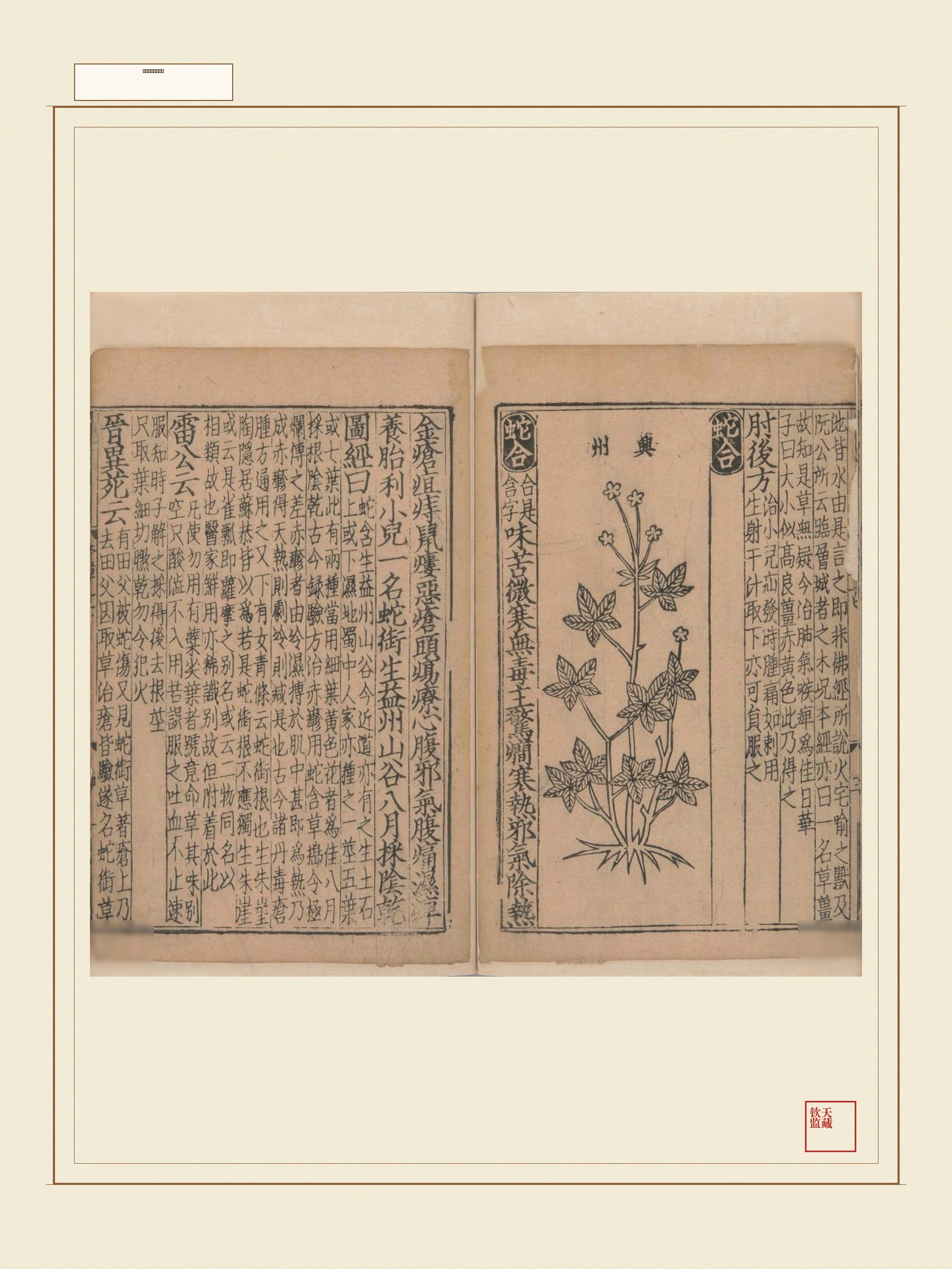 新编类要图注本草 第21页