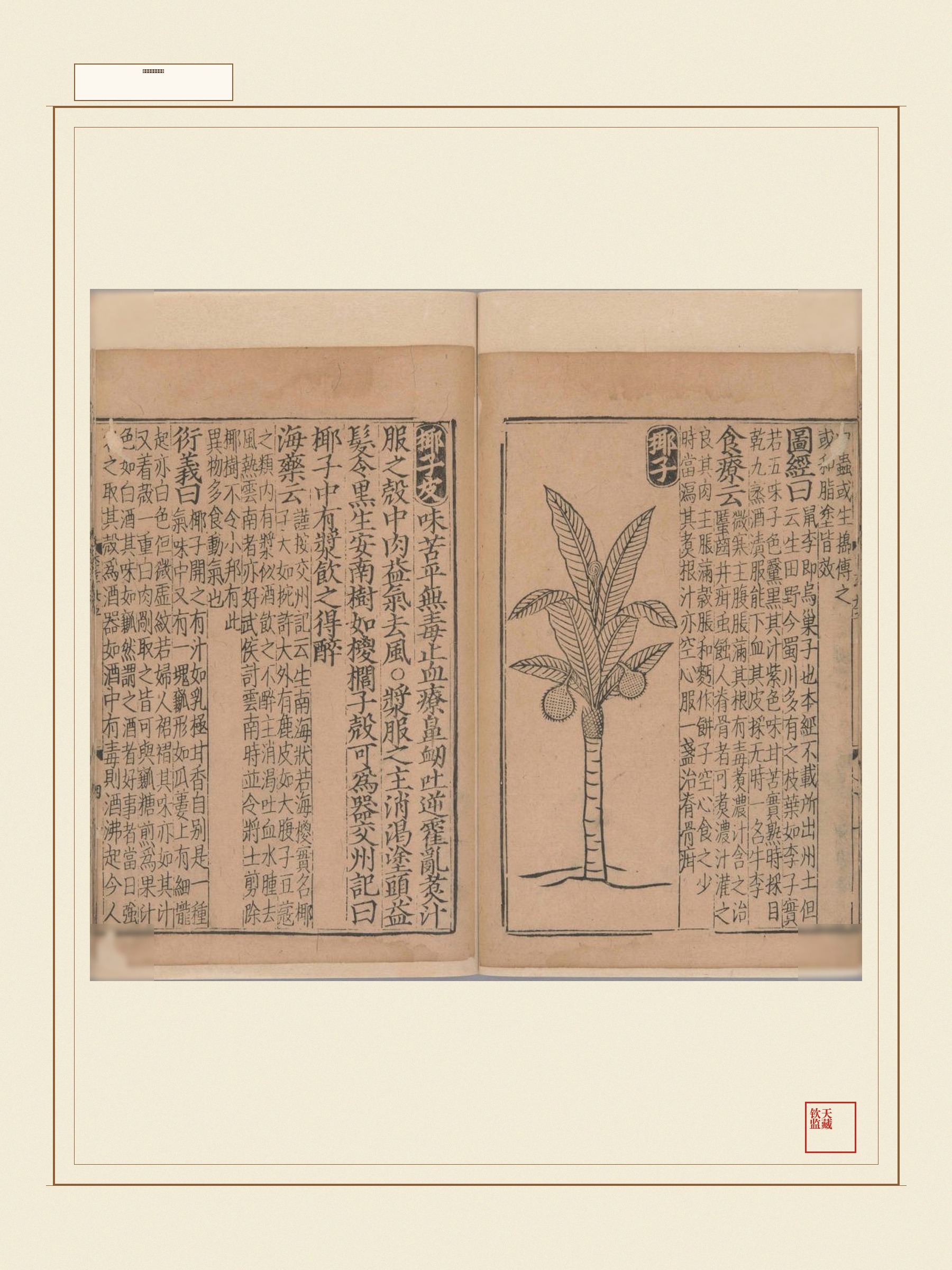 新编类要图注本草 第23页