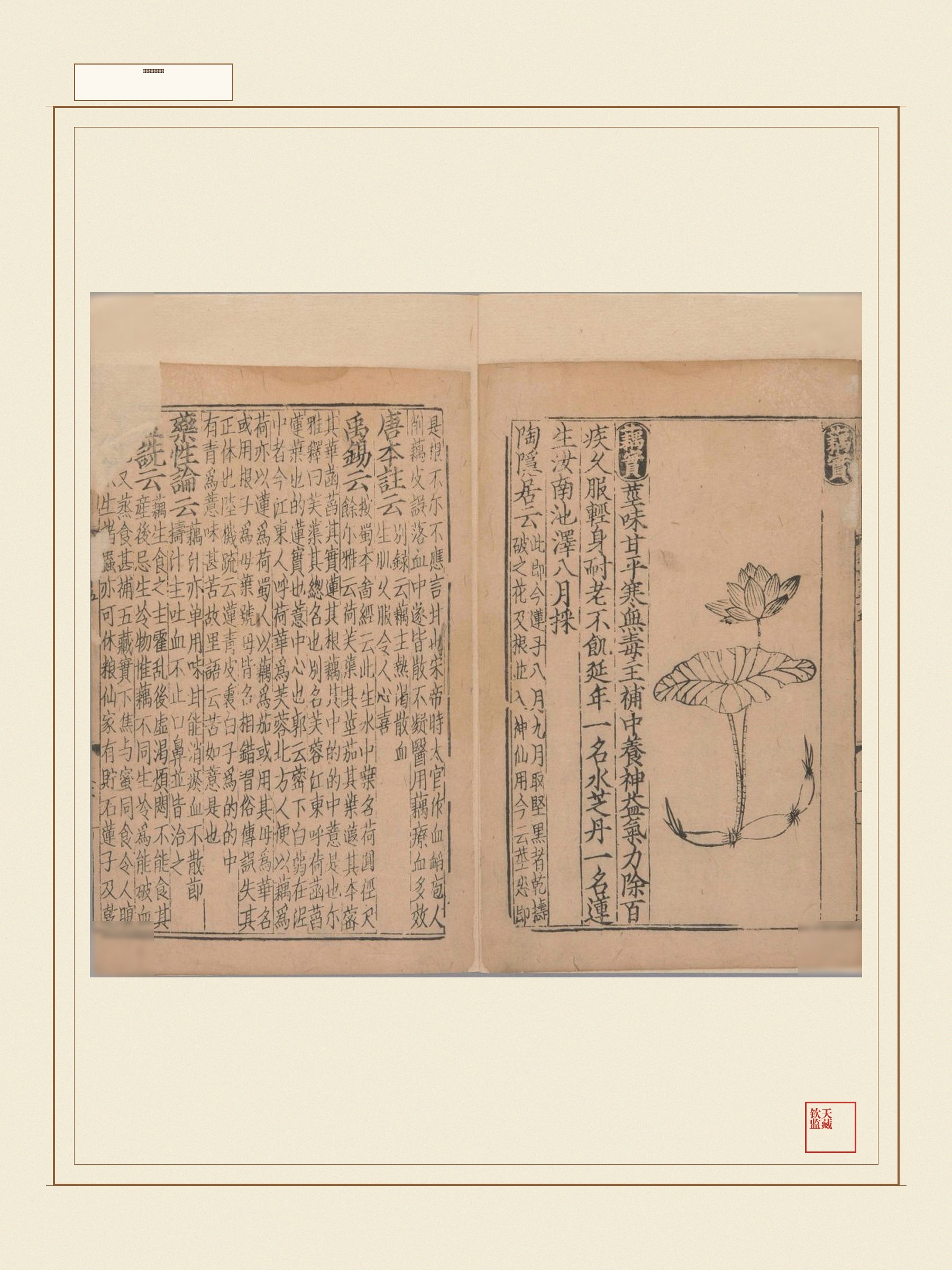 新编类要图注本草 第29页