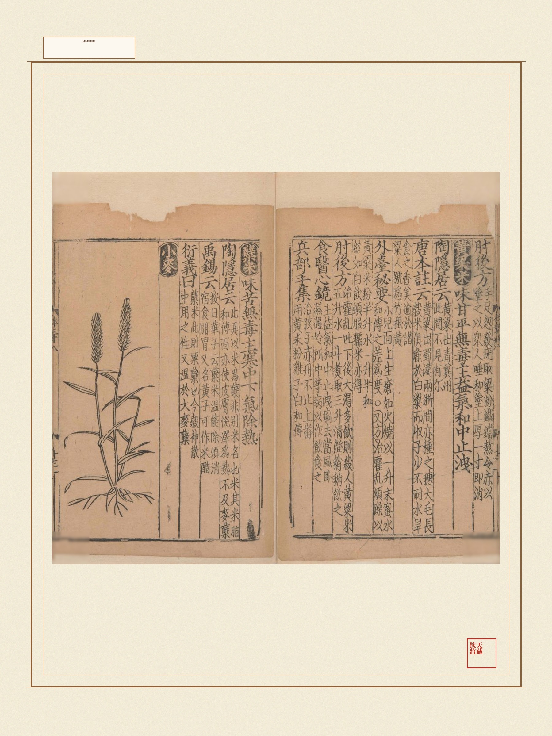 新编类要图注本草 第30页