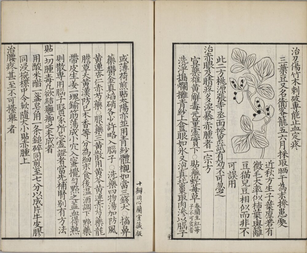 bei_ji_jiu_fang · 样张12