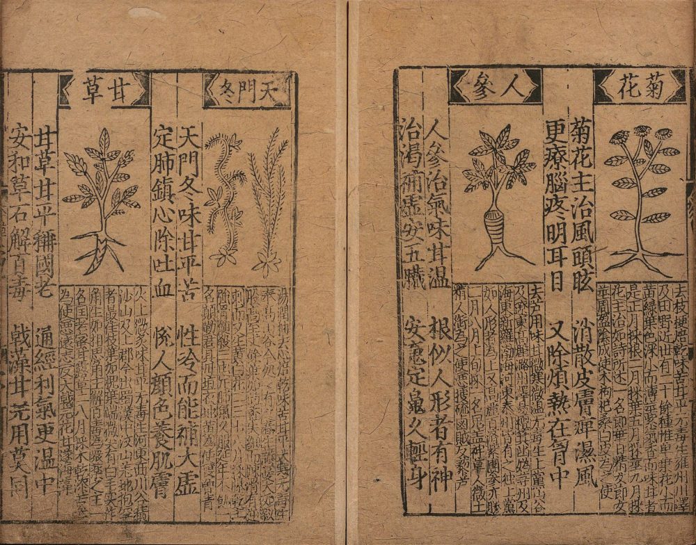 bu_zeng_ben_cao_ge_kuo · 样张7