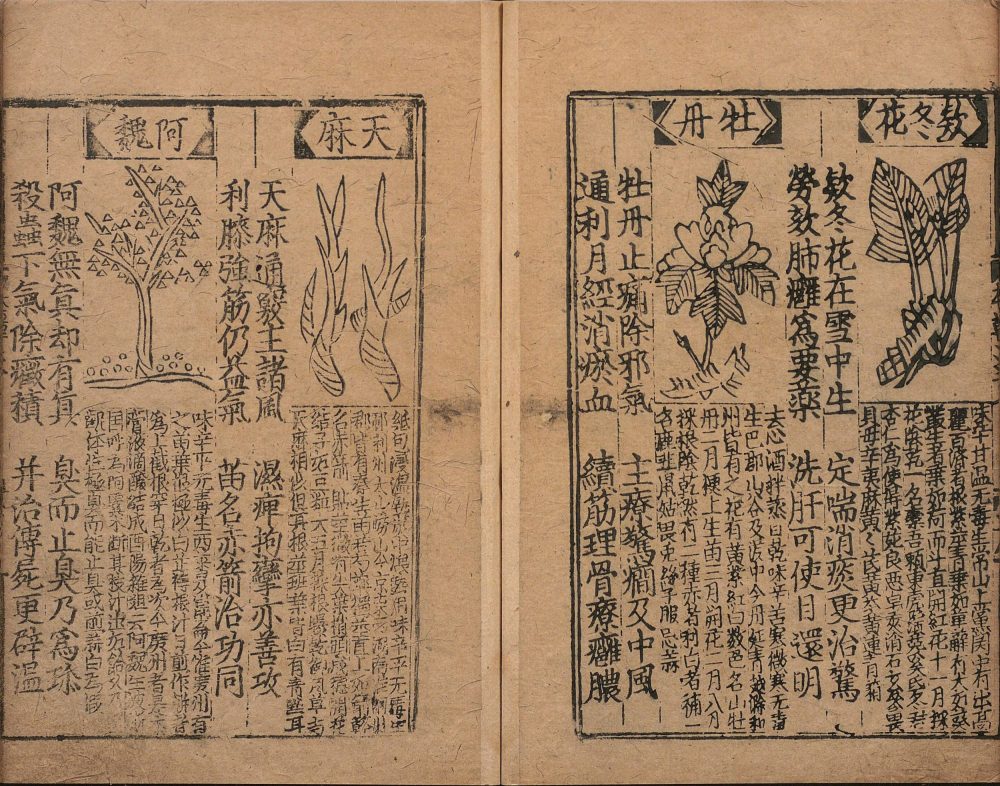 bu_zeng_ben_cao_ge_kuo · 样张10