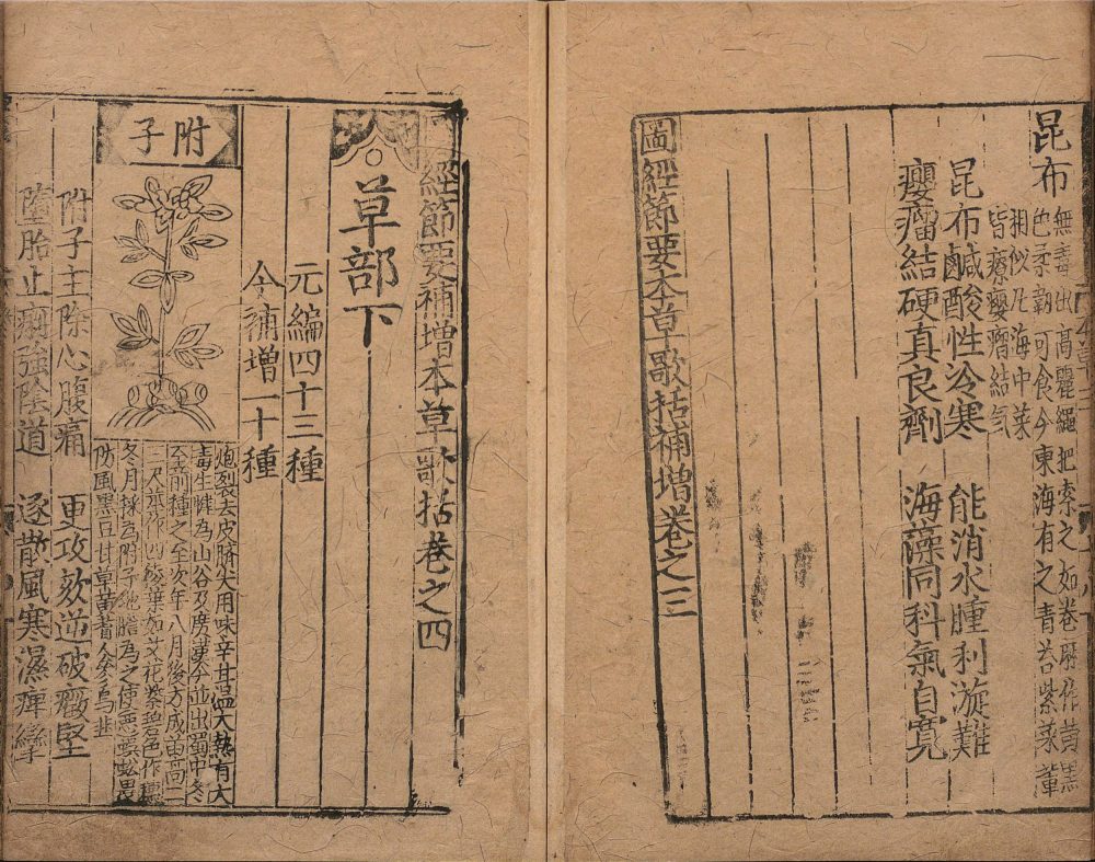bu_zeng_ben_cao_ge_kuo · 样张11