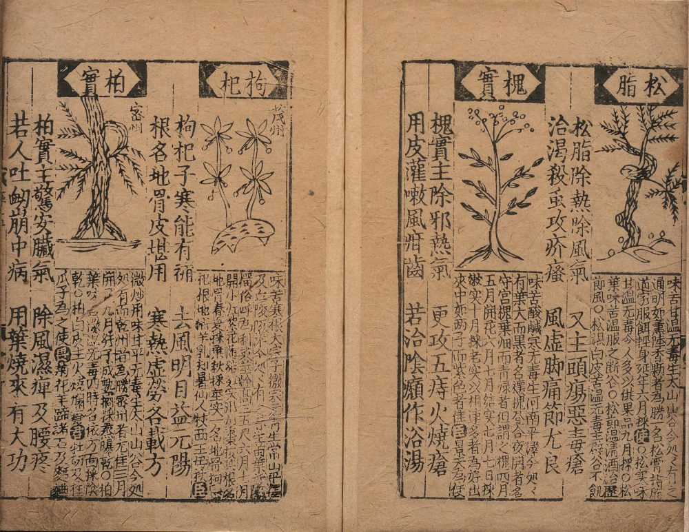 bu_zeng_ben_cao_ge_kuo · 样张12