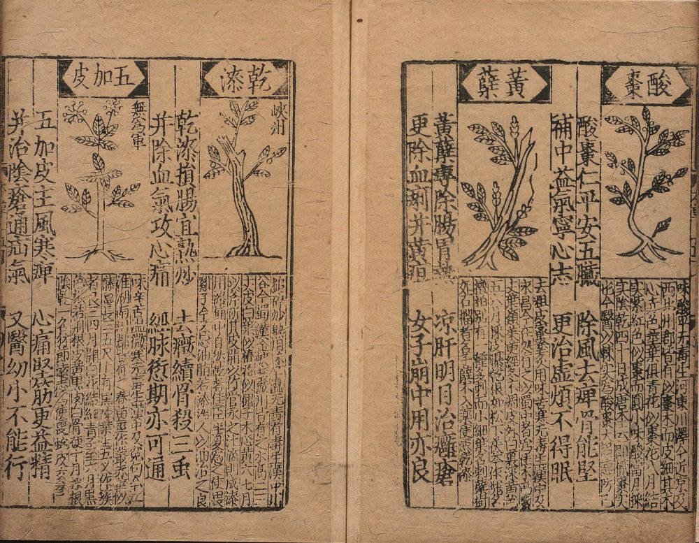 bu_zeng_ben_cao_ge_kuo · 样张13
