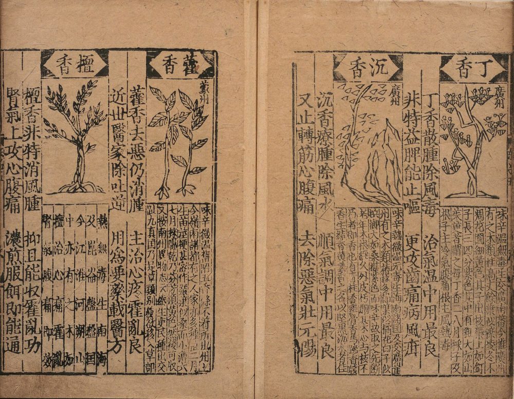 bu_zeng_ben_cao_ge_kuo · 样张14