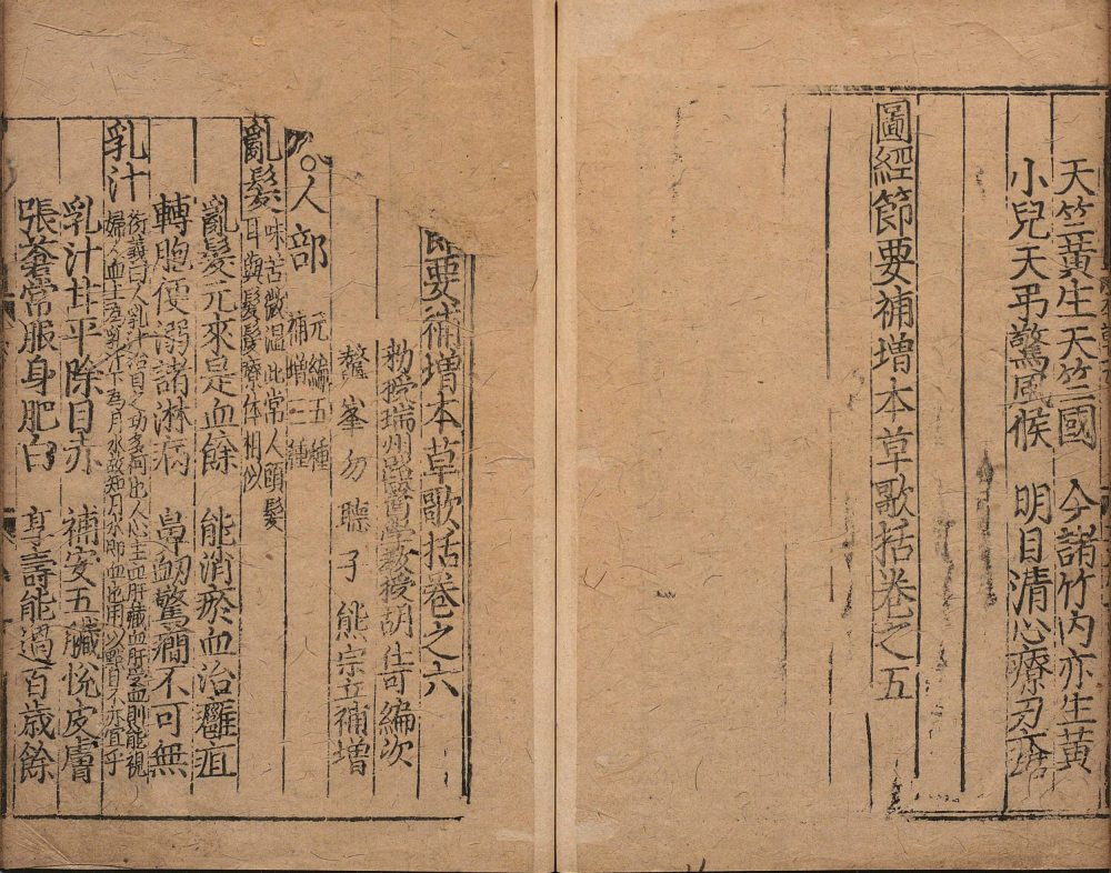 bu_zeng_ben_cao_ge_kuo · 样张16