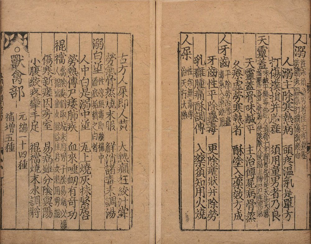 bu_zeng_ben_cao_ge_kuo · 样张17