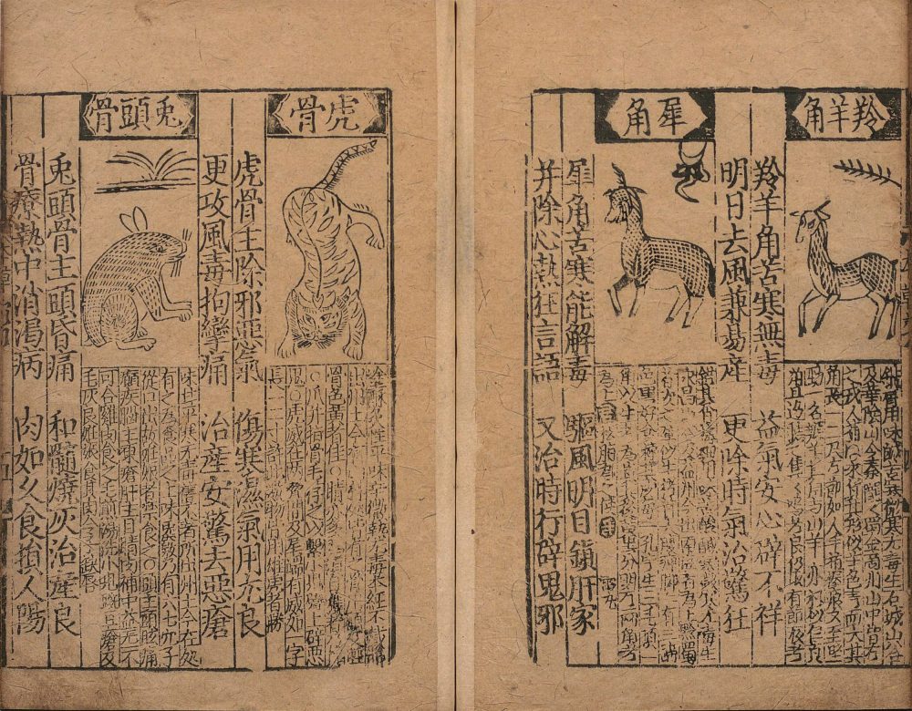 bu_zeng_ben_cao_ge_kuo · 样张18
