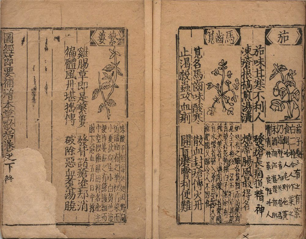 bu_zeng_ben_cao_ge_kuo · 样张21