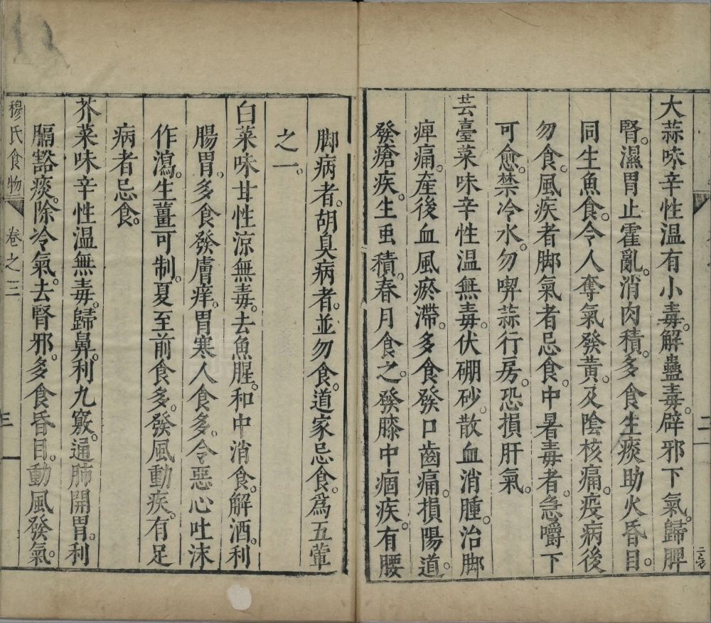 shi_wu_ji_yao · 样张8