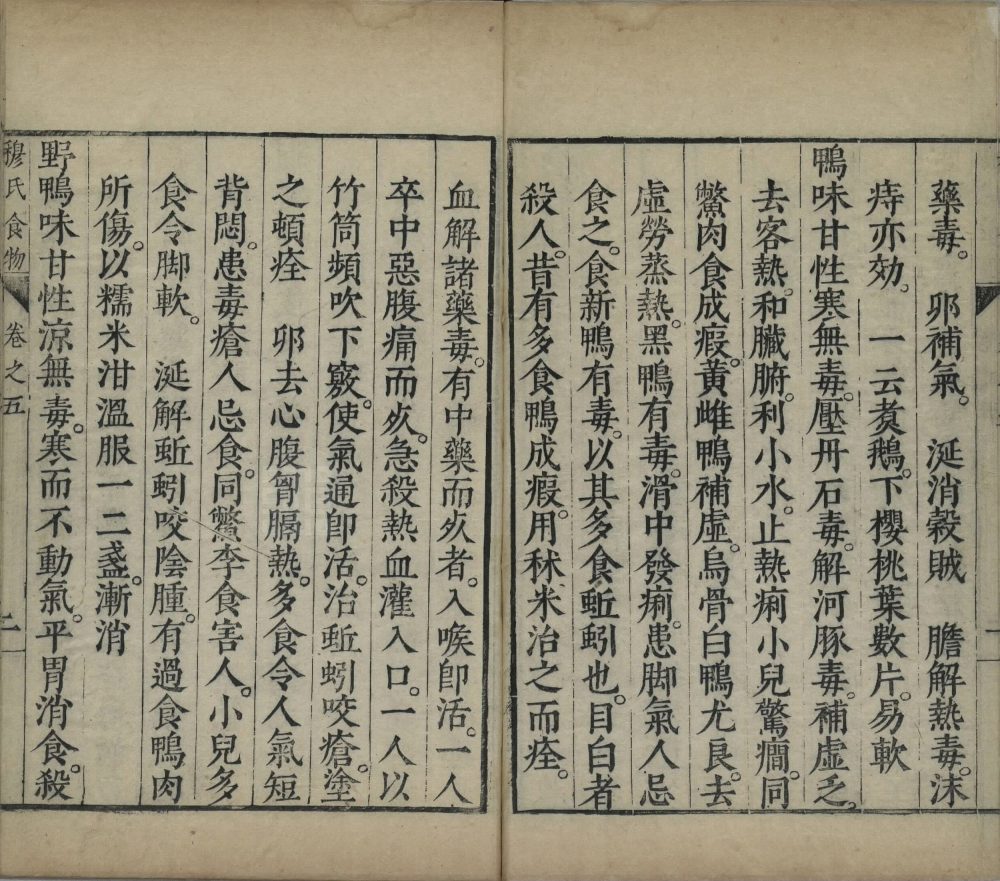 shi_wu_ji_yao · 样张13