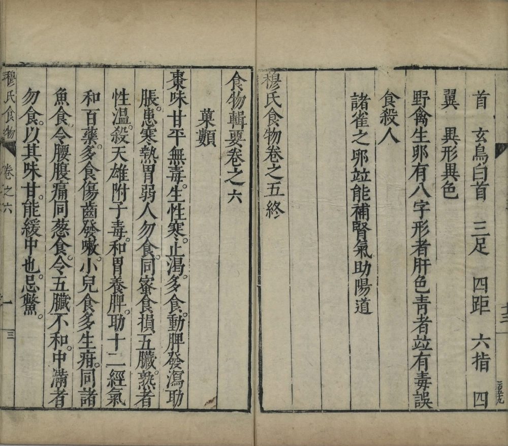 shi_wu_ji_yao · 样张15