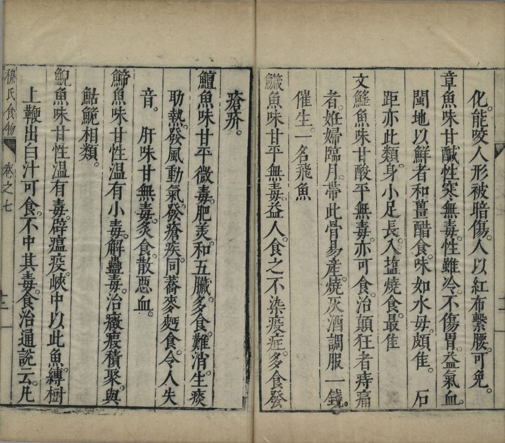 shi_wu_ji_yao · 样张19