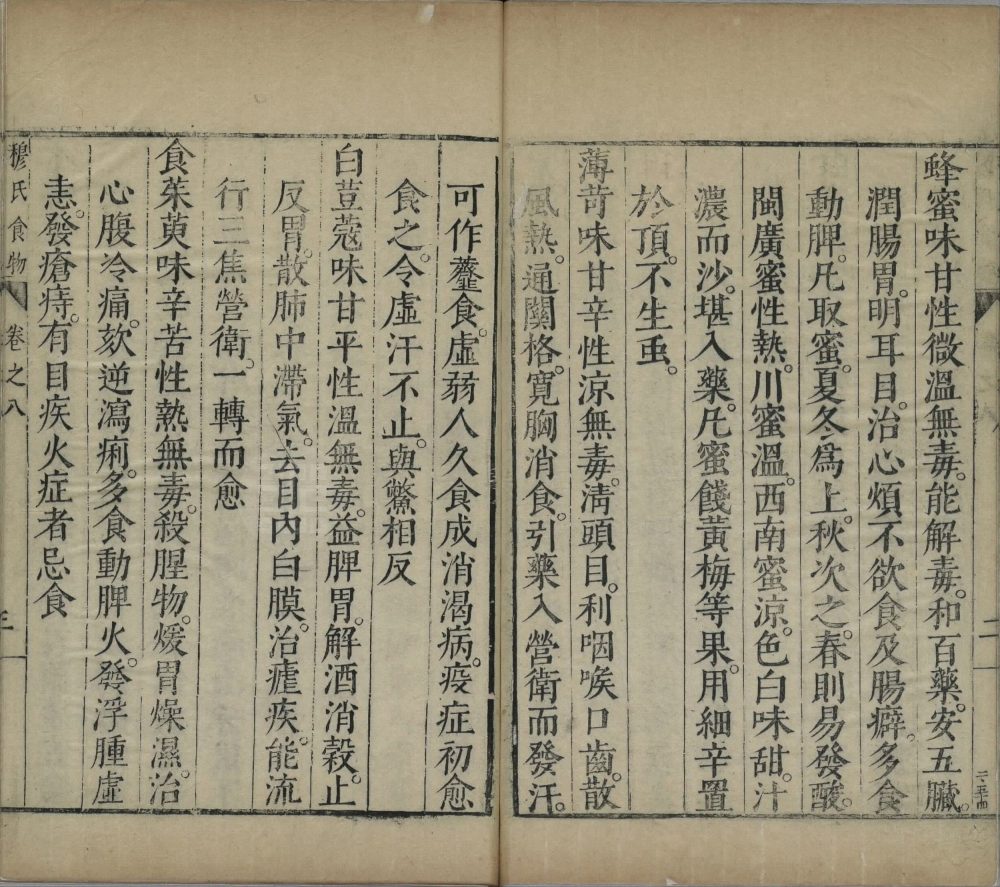 shi_wu_ji_yao · 样张20