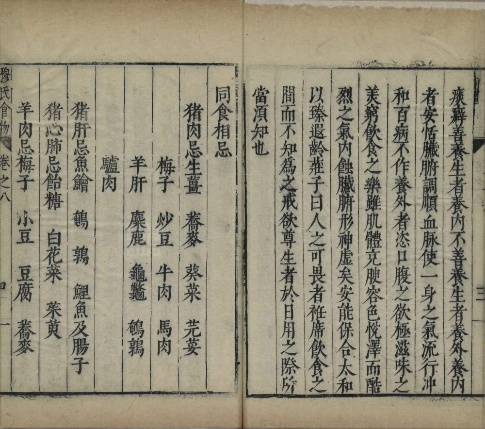 shi_wu_ji_yao · 样张24