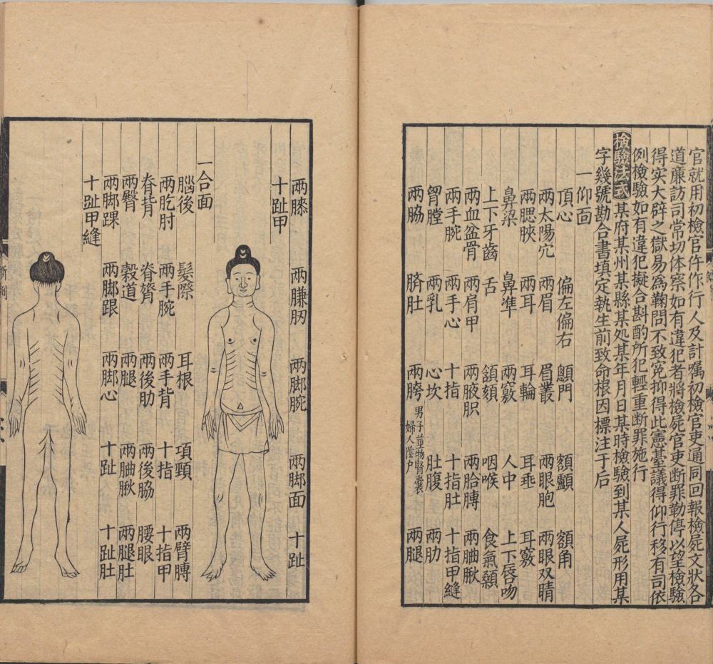 song_ti_xing_xi_yuan_ji_lu · 样张5