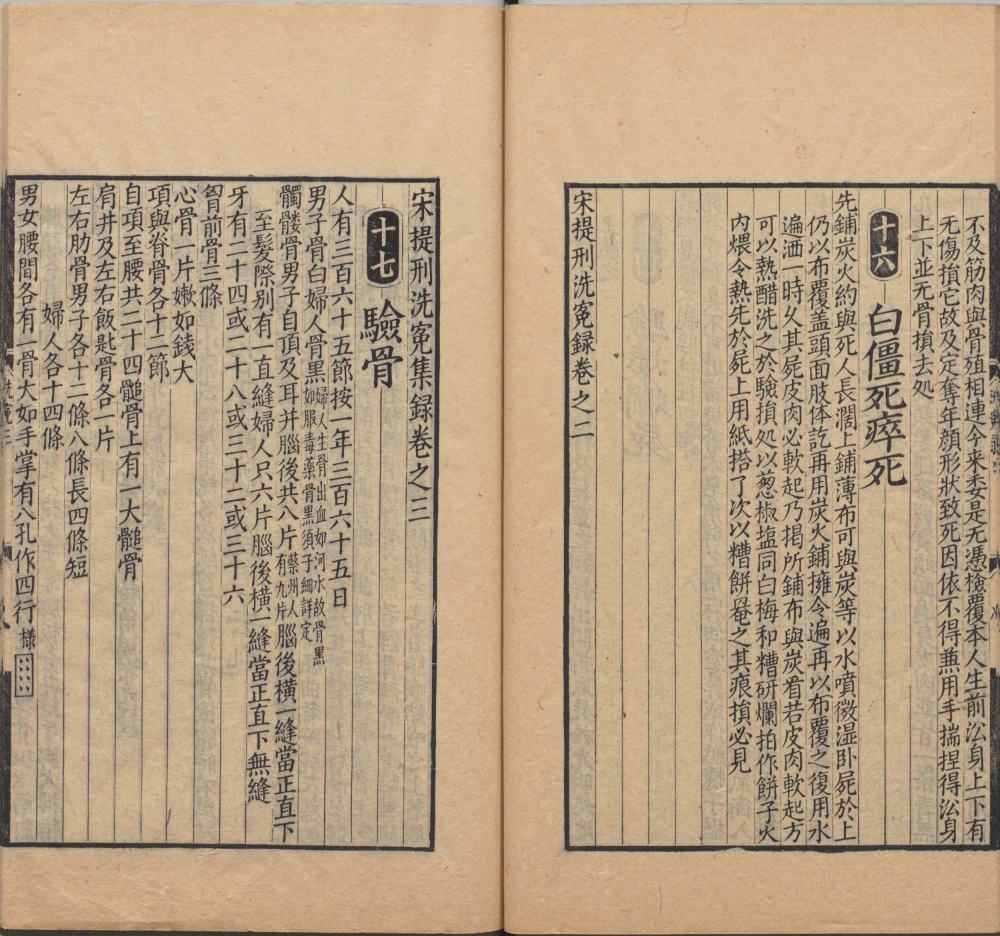 song_ti_xing_xi_yuan_ji_lu · 样张11