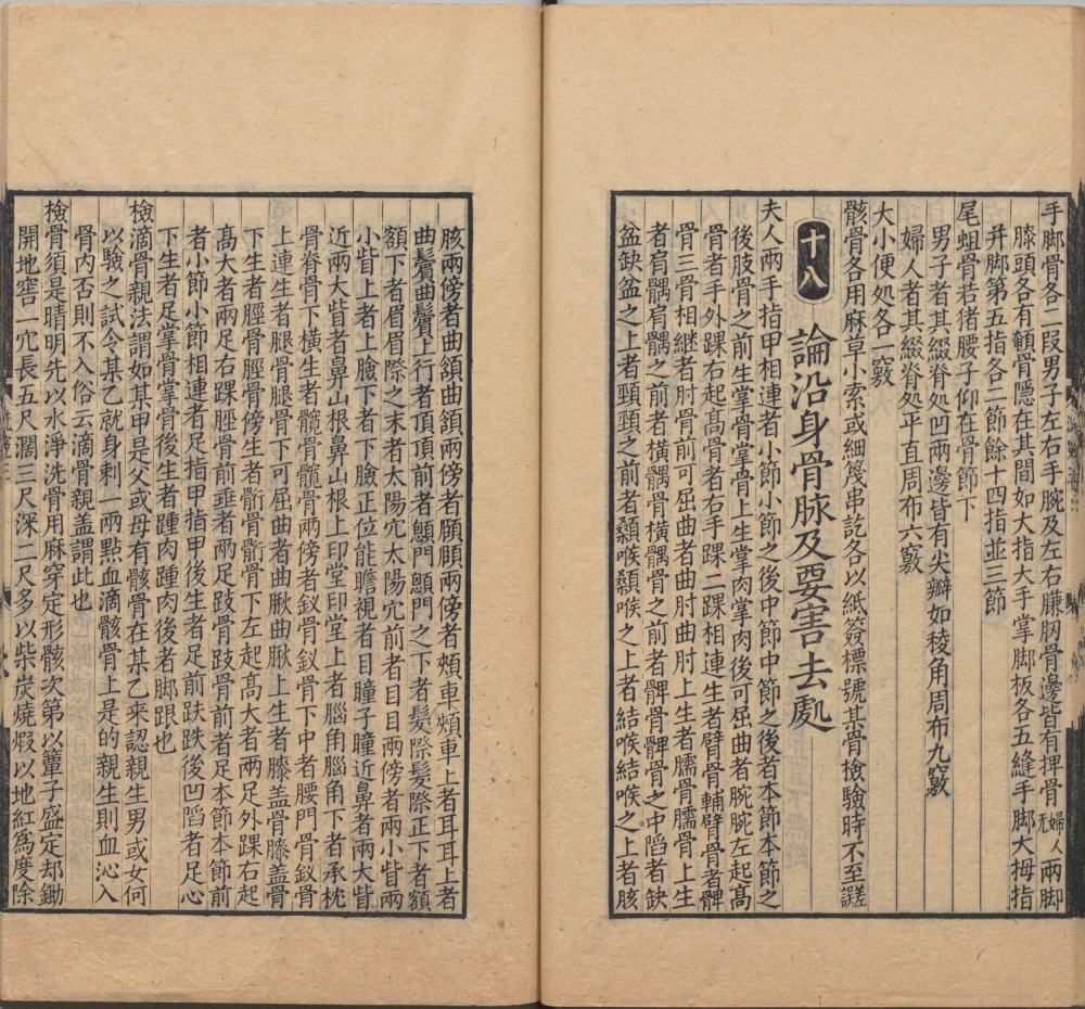 song_ti_xing_xi_yuan_ji_lu · 样张12