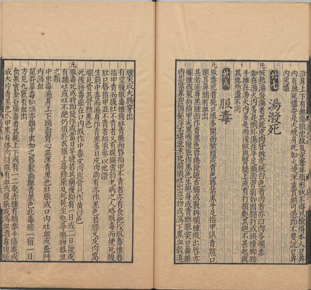 song_ti_xing_xi_yuan_ji_lu · 样张17