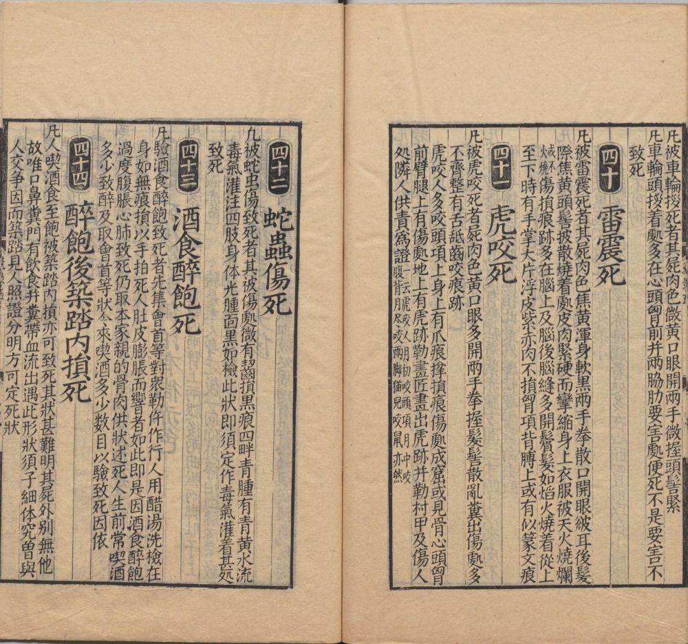 song_ti_xing_xi_yuan_ji_lu · 样张19