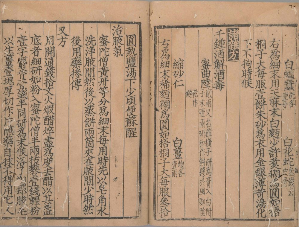 wei_shi_jia_cang_fang · 样张22
