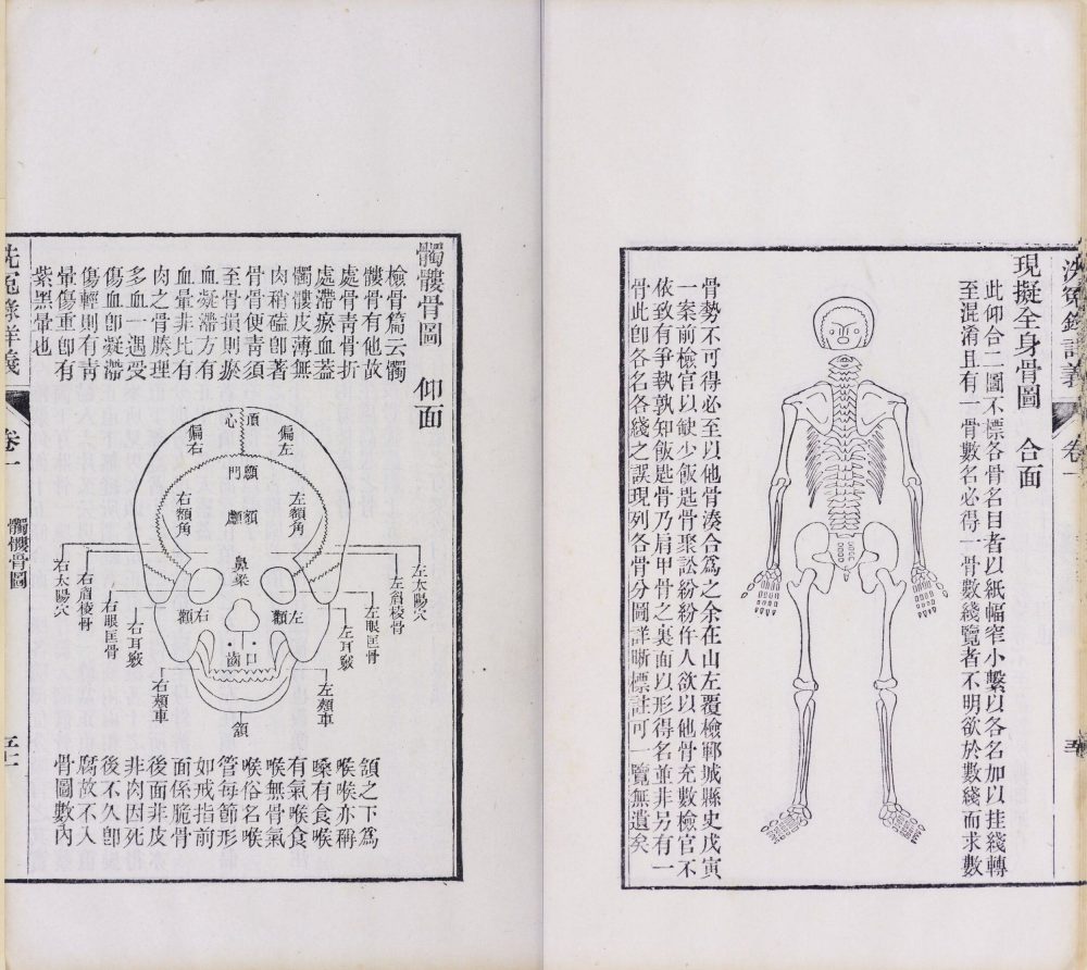 xi_yuan_lu_xiang_yi · 样张6