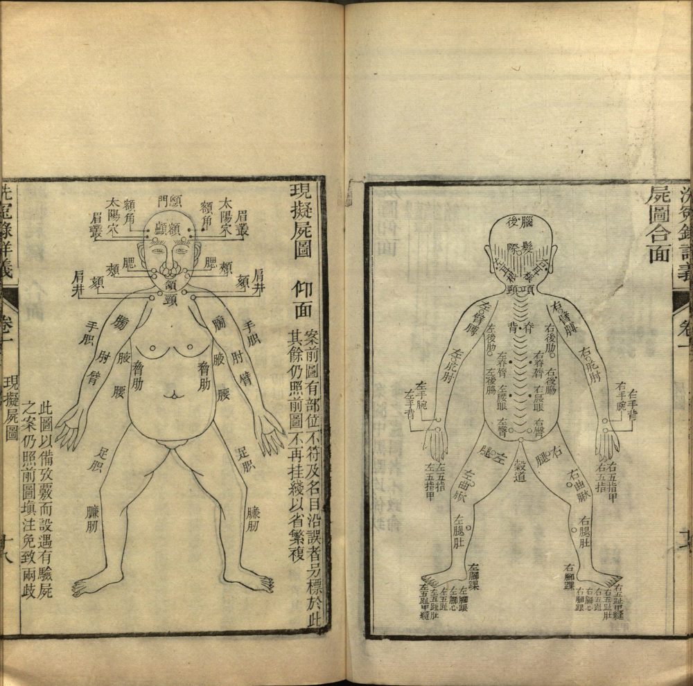 xi_yuan_lu_xiang_yi · 样张22