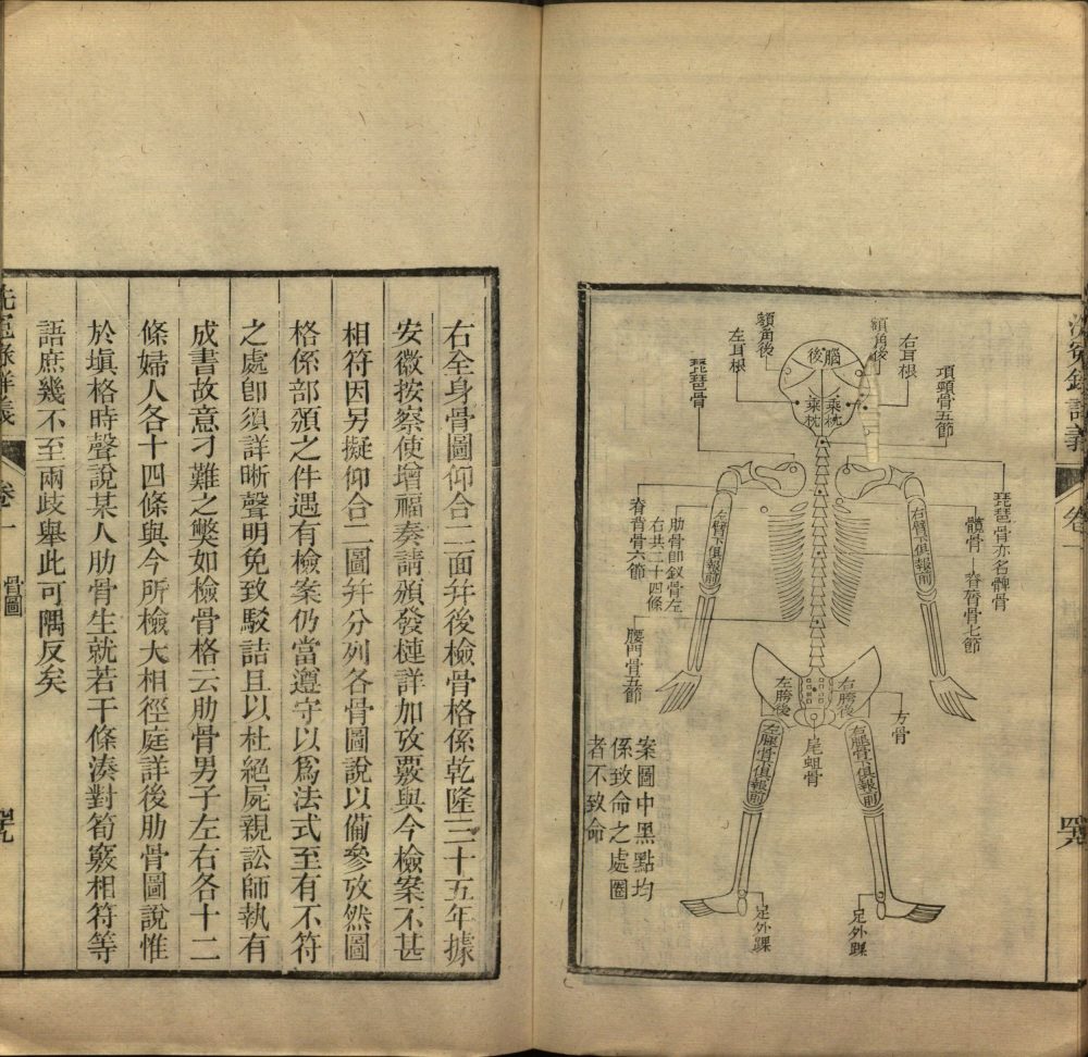 xi_yuan_lu_xiang_yi · 样张23