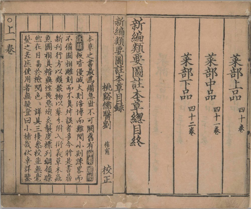 xin_bian_lei_yao_tu_zhu_ben_cao · 样张2