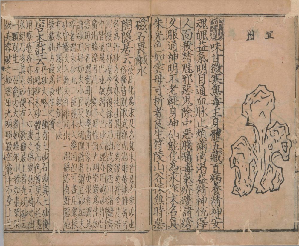 xin_bian_lei_yao_tu_zhu_ben_cao · 样张4