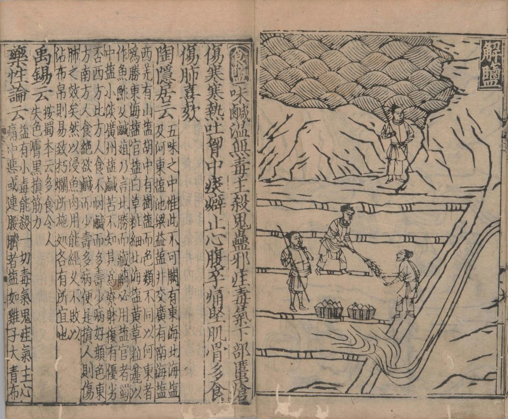 xin_bian_lei_yao_tu_zhu_ben_cao · 样张5