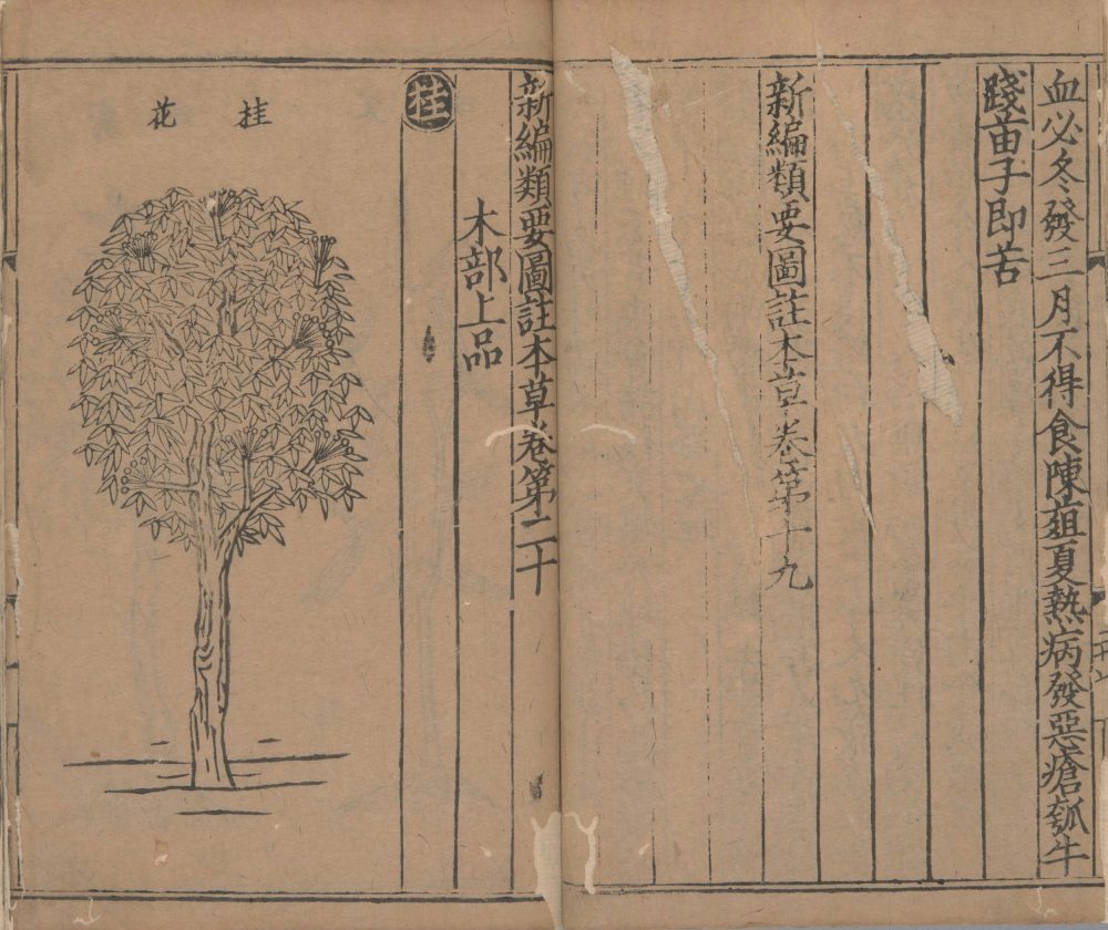 xin_bian_lei_yao_tu_zhu_ben_cao · 样张7