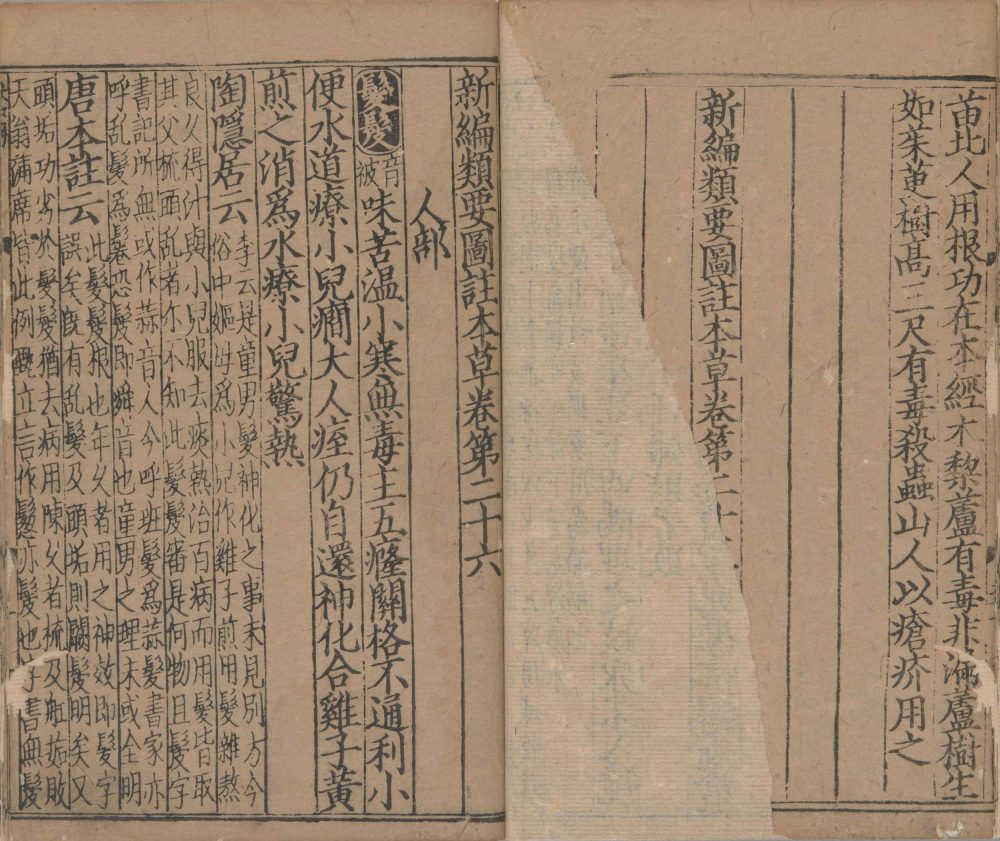 xin_bian_lei_yao_tu_zhu_ben_cao · 样张8