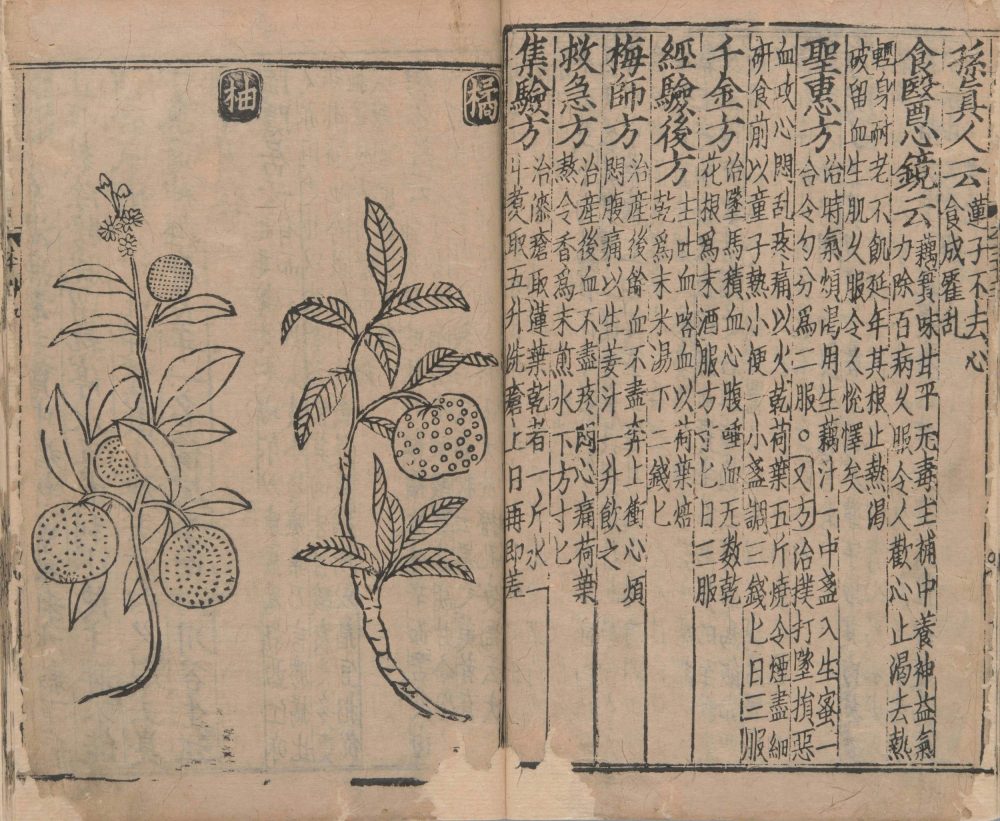 xin_bian_lei_yao_tu_zhu_ben_cao · 样张11