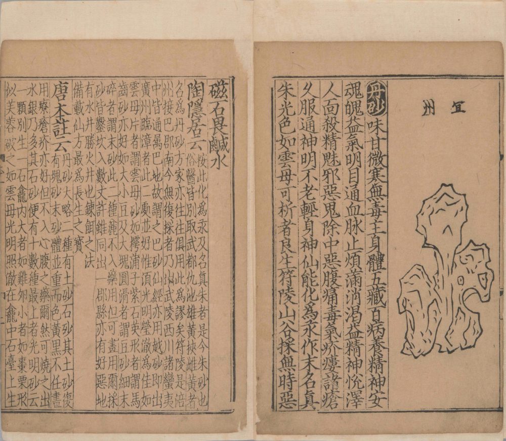 xin_bian_lei_yao_tu_zhu_ben_cao · 样张18