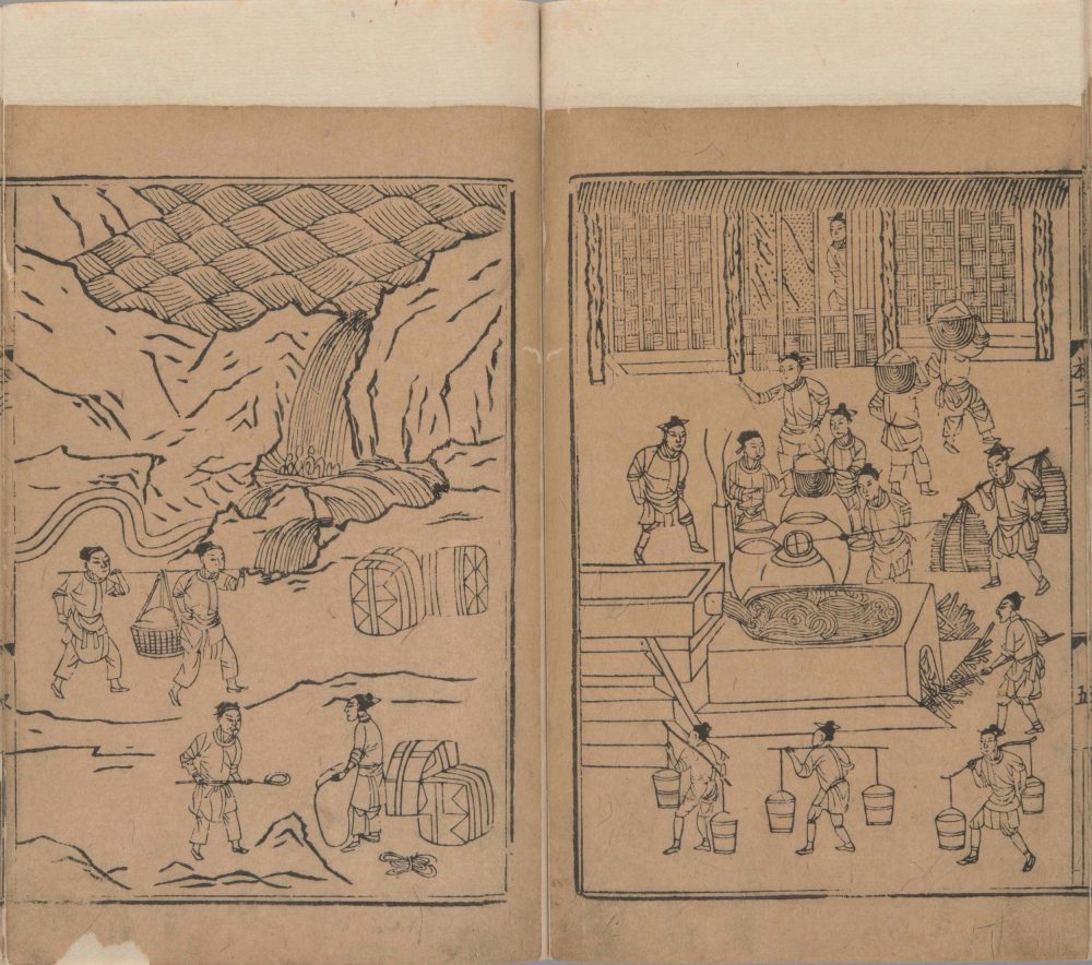 xin_bian_lei_yao_tu_zhu_ben_cao · 样张19