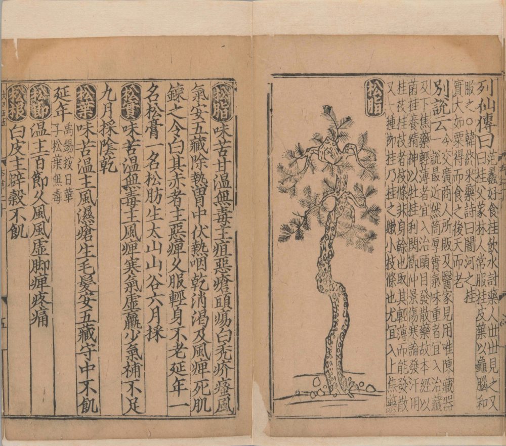 xin_bian_lei_yao_tu_zhu_ben_cao · 样张22