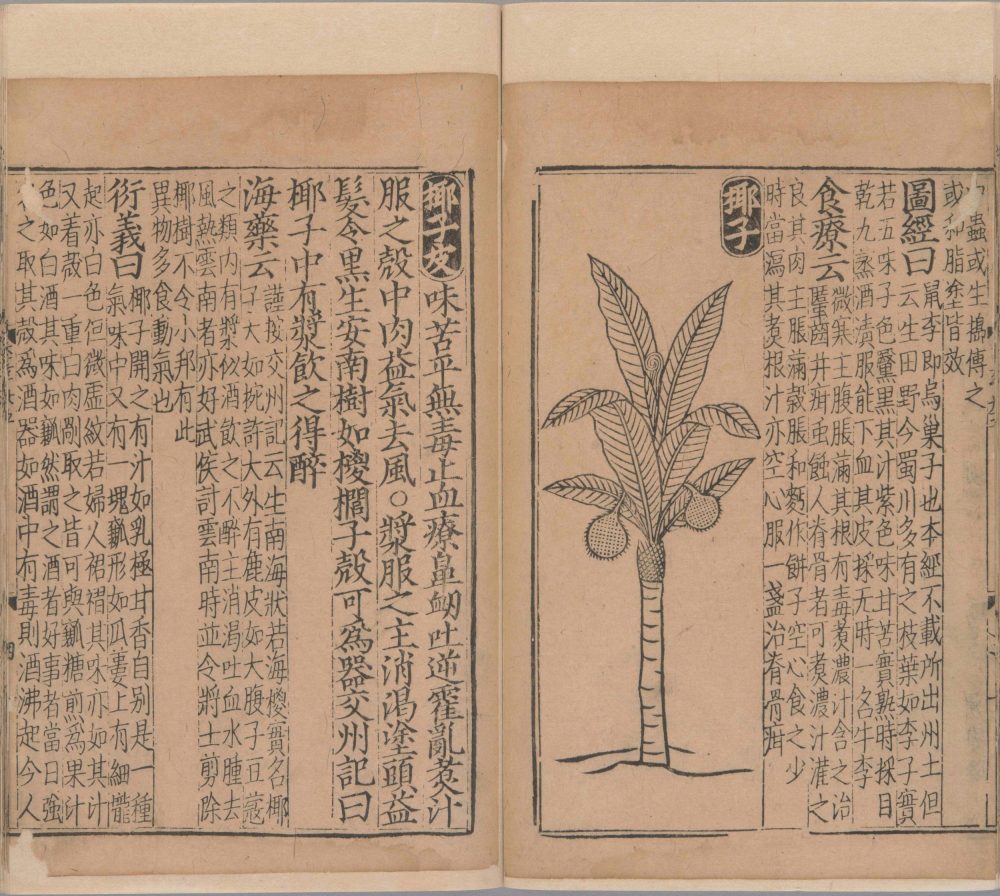 xin_bian_lei_yao_tu_zhu_ben_cao · 样张23