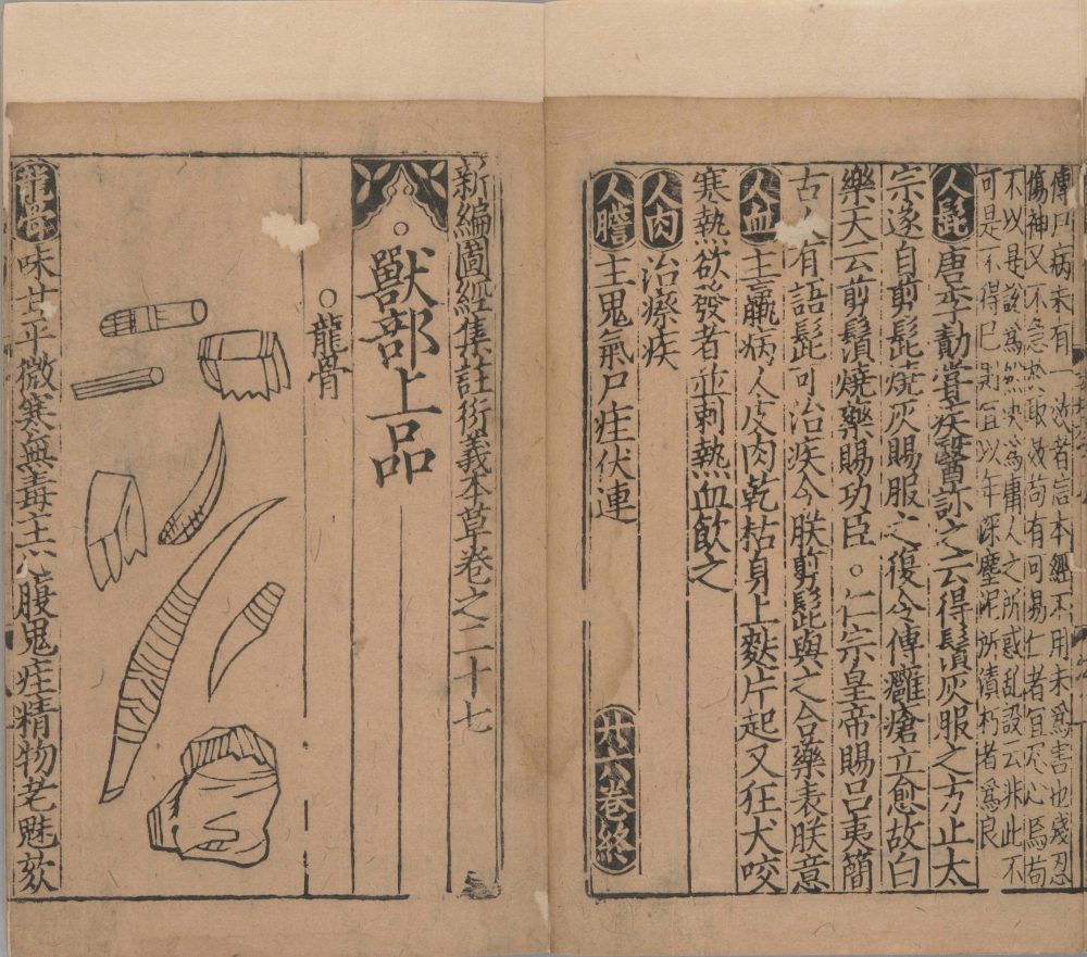 xin_bian_lei_yao_tu_zhu_ben_cao · 样张25