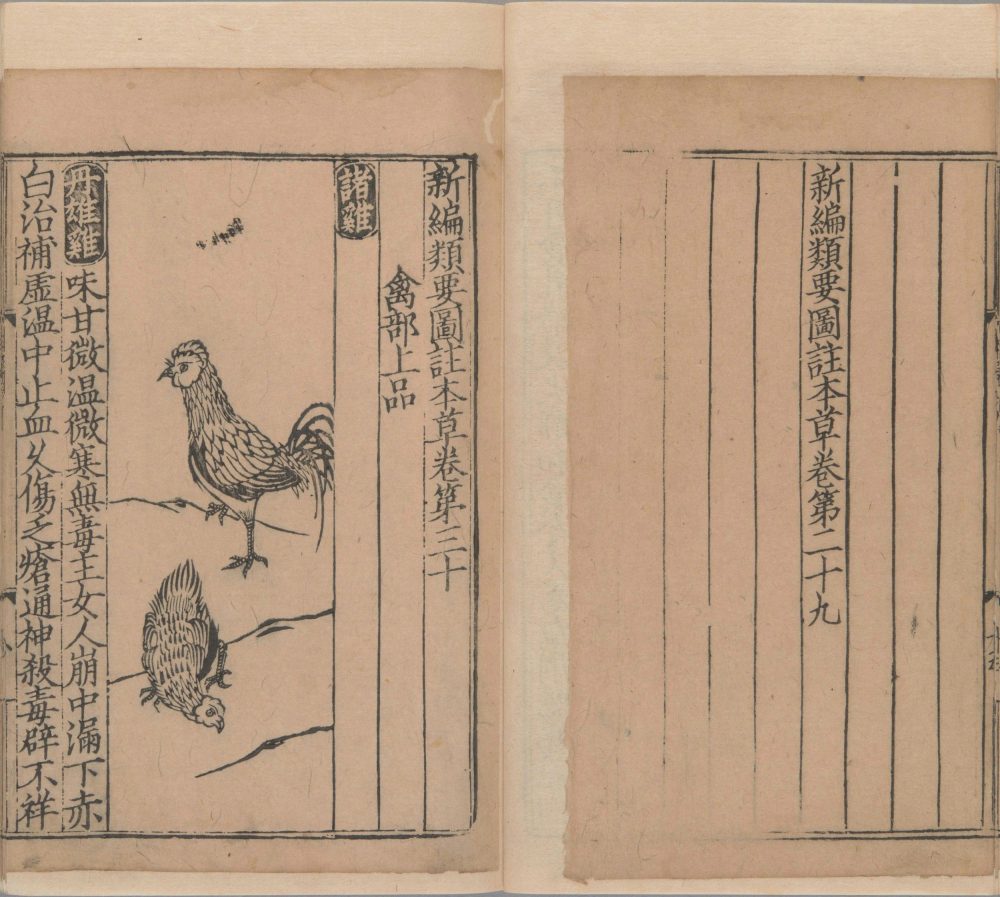 xin_bian_lei_yao_tu_zhu_ben_cao · 样张27