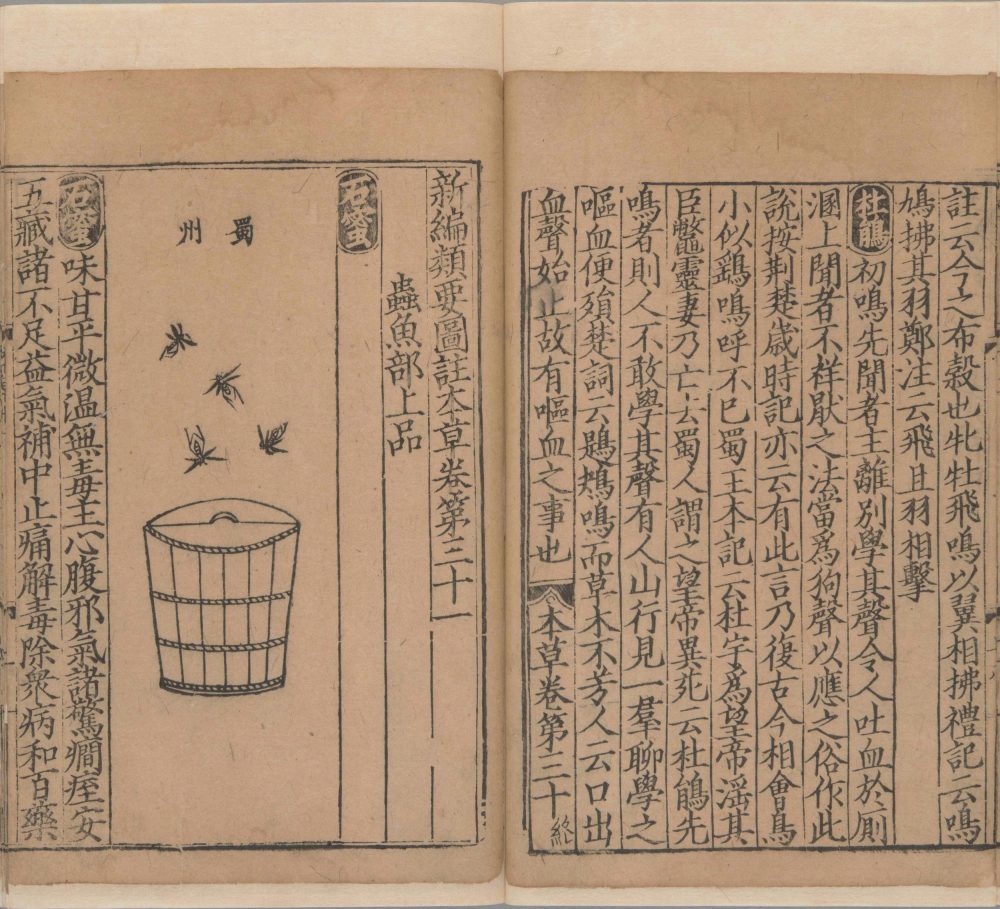 xin_bian_lei_yao_tu_zhu_ben_cao · 样张28