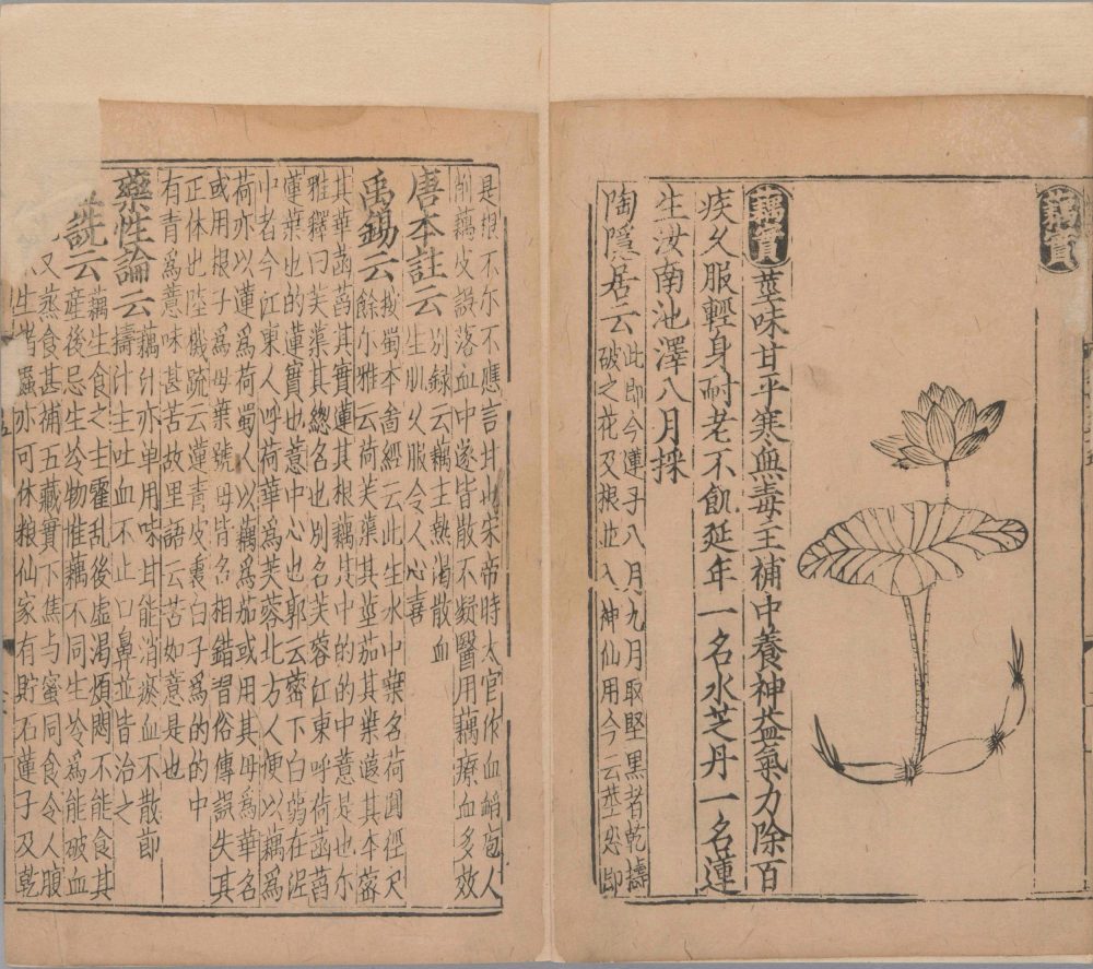 xin_bian_lei_yao_tu_zhu_ben_cao · 样张29